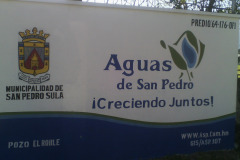 IMG-20250604-WA0325