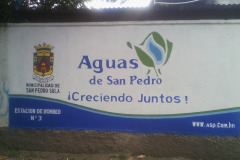 IMG-20250604-WA0327