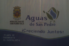 IMG-20250604-WA0331