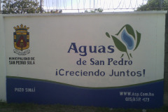 IMG-20250604-WA0333