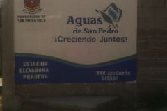 IMG-20250604-WA0335