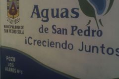 IMG-20250604-WA0336