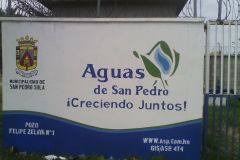 IMG-20250604-WA0337