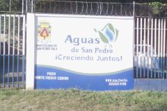 IMG-20250604-WA0338