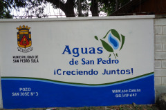 IMG-20250604-WA0347