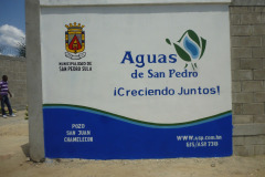 IMG-20250604-WA0353