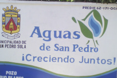 IMG-20250604-WA0360