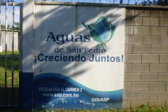 IMG-20250604-WA0365