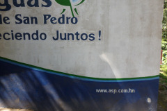 IMG-20250604-WA0370