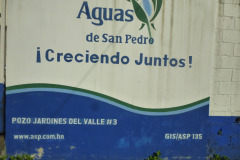 IMG-20250604-WA0371