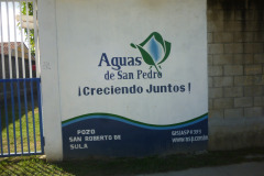IMG-20250604-WA0375
