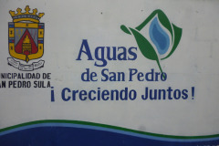 IMG-20250604-WA0378