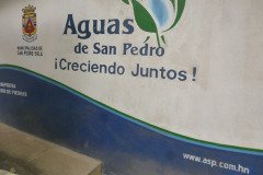 IMG-20250604-WA0381