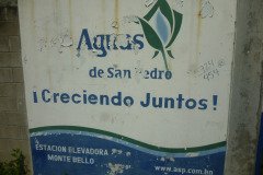 IMG-20250604-WA0382
