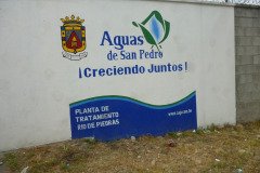 IMG-20250604-WA0384