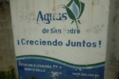 IMG-20250604-WA0387
