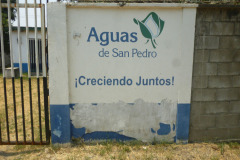 IMG-20250604-WA0391