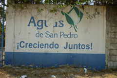 IMG-20250604-WA0393