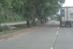 IMG-20250604-WA0205