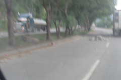 IMG-20250604-WA0207